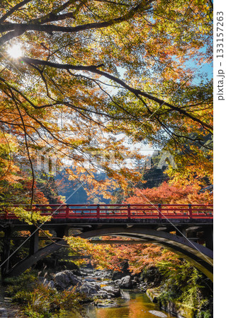 京都市　紅葉の清滝川風景 133157263