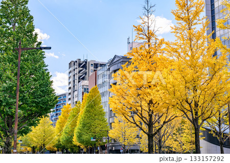 仙台 上杉山(かみすぎやま)通 秋 仙台 上杉山(かみすぎやま)通 秋 133157292