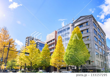 仙台 上杉山(かみすぎやま)通 秋 133157295