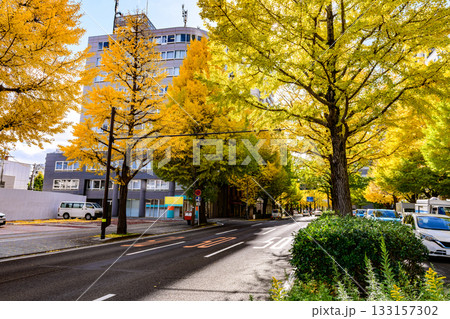 仙台 上杉山(かみすぎやま)通 秋 133157302