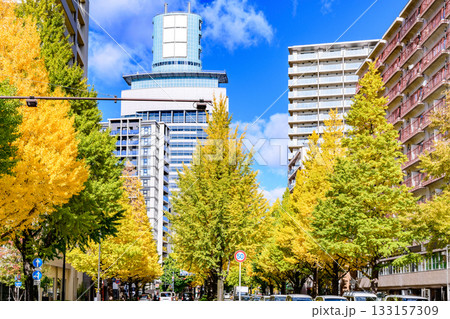 仙台 上杉山(かみすぎやま)通 秋 133157309