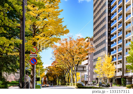 仙台 上杉山(かみすぎやま)通 秋 133157311