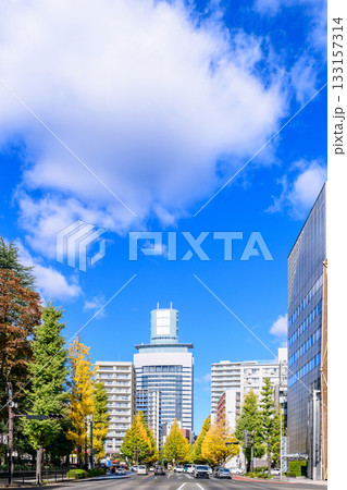 仙台 上杉山(かみすぎやま)通 秋 仙台 上杉山(かみすぎやま)通 秋 133157314