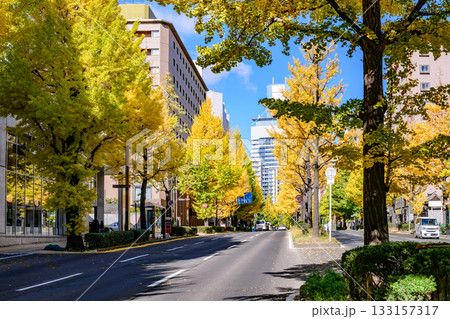 仙台 上杉山(かみすぎやま)通 秋 仙台 上杉山(かみすぎやま)通 秋 133157317