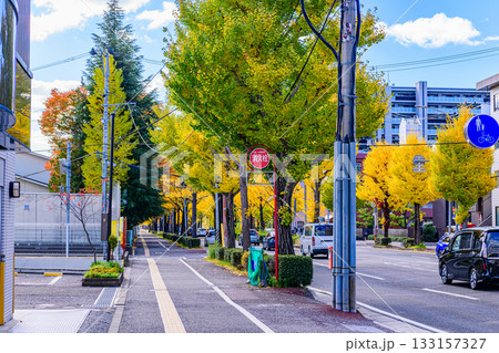 仙台 上杉山(かみすぎやま)通 秋 133157327