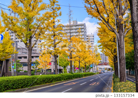 仙台 上杉山(かみすぎやま)通 秋 仙台 上杉山(かみすぎやま)通 秋 133157334