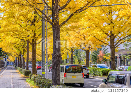仙台 上杉山(かみすぎやま)通 秋 133157340