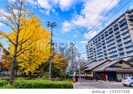 仙台 上杉山(かみすぎやま)通 秋 133157348