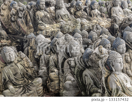 a large collection of weathered Buddha statues and show signs of age and exposure to the elements. 133157432