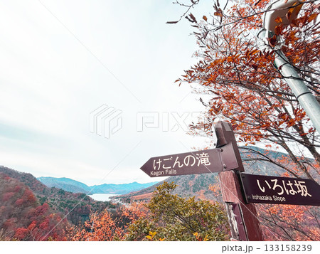 紅葉の華厳の滝展望台から望む、明智平レストハウス 133158239