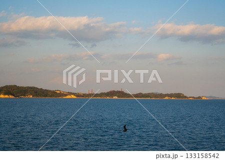 日本の瀬戸内海のとても美しい秋の風景 133158542