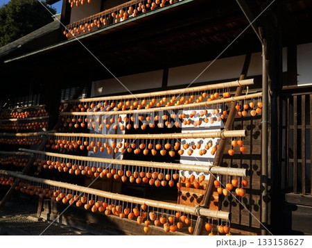 吊るし柿　11月カキ･干し柿04甘草屋敷 133158627