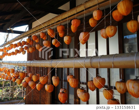 吊るし柿　11月カキ･干し柿09甘草屋敷 133158631