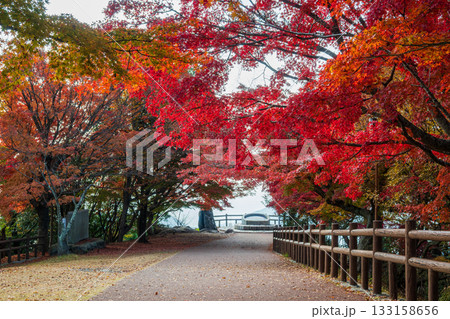 日本の瀬戸内海のとても美しい秋の風景 日本の瀬戸内海のとても美しい秋の風景 133158656
