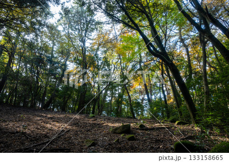 日本の瀬戸内海のとても美しい秋の風景 133158665