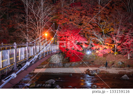 紅の吊橋 紅の吊橋 133159116