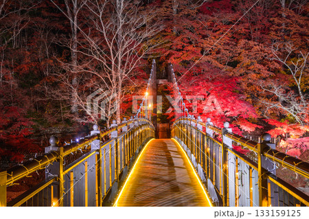 紅の吊橋 133159125