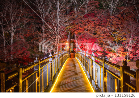 紅の吊橋 133159126