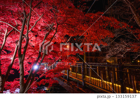 紅の吊橋 133159137