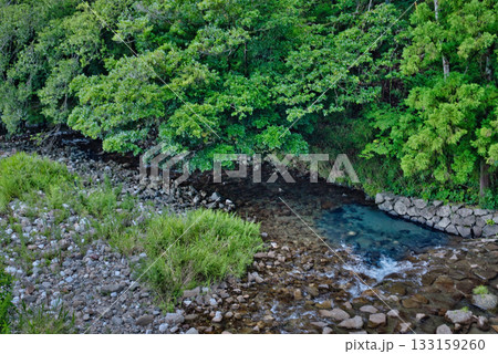 高知県梼原の神幸橋から見た梼原川 高知県梼原の神幸橋から見た梼原川 133159260