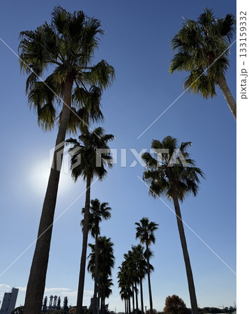 秋の青空 秋の青空 133159332