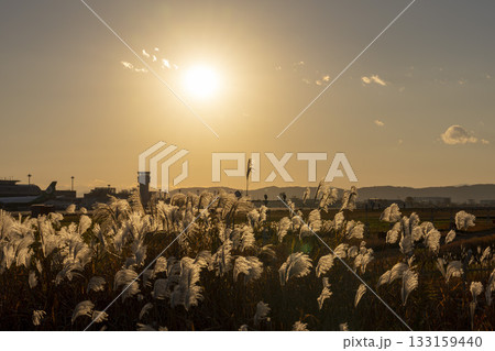 夕暮れの仙台空港 夕日とススキ 宮城県名取市 夕暮れの仙台空港 夕日とススキ 宮城県名取市 133159440