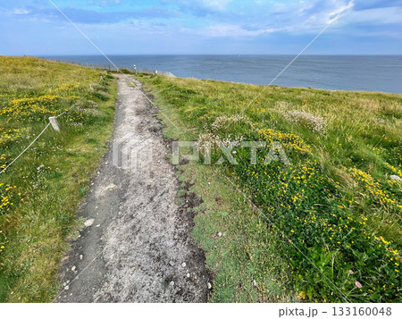 フランス最西端・コルセン岬 133160048