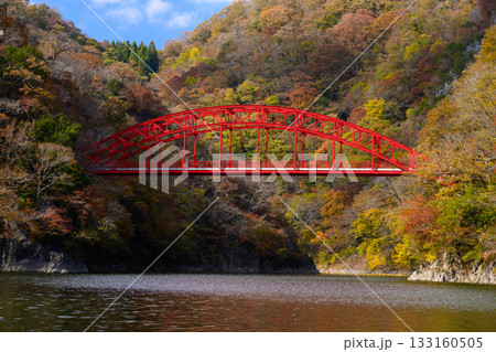 紅葉に染まる帝釈峡の神龍湖と赤い桜橋 133160505