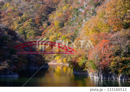 紅葉に染まる神龍湖と赤い橋 紅葉に染まる神龍湖と赤い橋 133160512