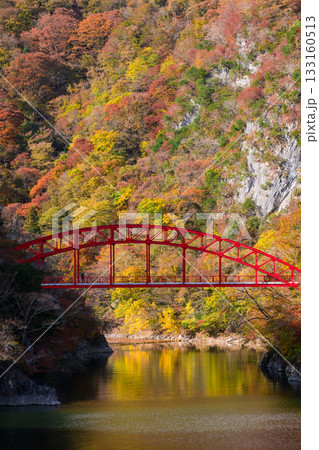 紅葉に染まる神龍湖と赤い橋 133160513