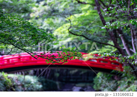 静岡県周智郡森町一宮　小國神社と境内の風景 133160812
