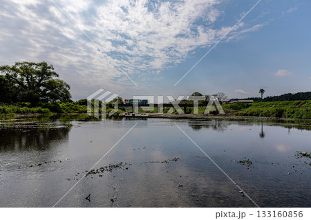 静岡県掛川市幡鎌　天竜浜名湖鉄道と沿線の風景 133160856