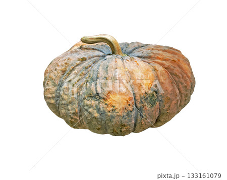 Close-up of Pumpkin isolated on white background with Clipping Path Close-up of Pumpkin isolated on white background with Clipping Path 133161079