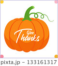 Vector drawing of an orange pumpkin with green stem and curling tendril Clipart 133161317