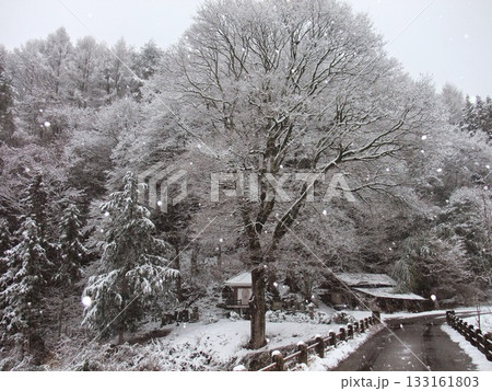 田舎の雪風景 田舎の雪風景 133161803