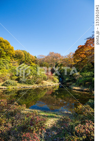 秋の赤城自然園 しゃくなげ園の池 群馬県 秋の赤城自然園 しゃくなげ園の池 群馬県 133161841