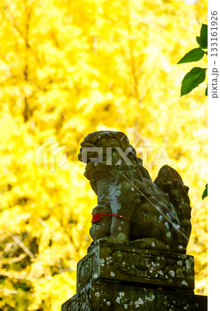威厳ある狛犬　背景は明るいイチョウの黄葉　岡山県真庭市「高田神社」 133161926