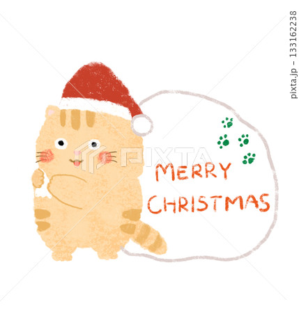 サンタの格好をしたかわいい猫 クリスマスタイトル サンタの格好をしたかわいい猫 クリスマスタイトル 133162238