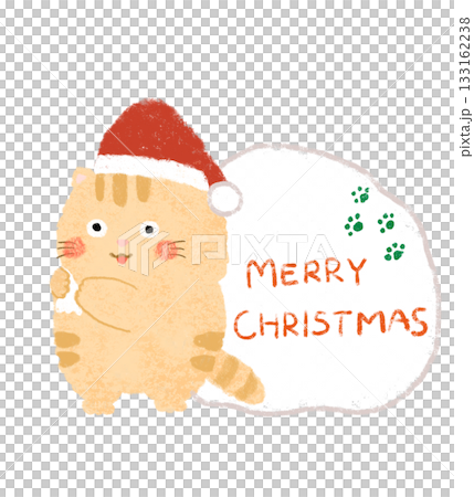 サンタの格好をしたかわいい猫 クリスマスタイトル サンタの格好をしたかわいい猫 クリスマスタイトル 133162238