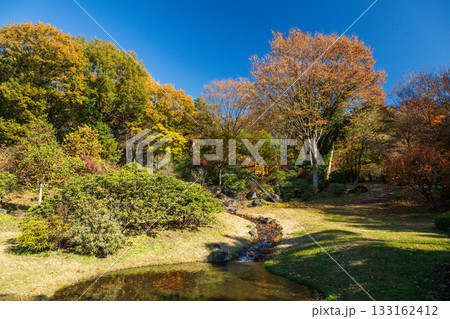 秋の赤城自然園　見晴台を見上げる　群馬県 133162412