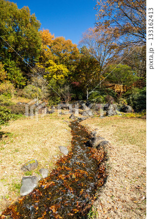 秋の赤城自然園　見晴台を見上げる　群馬県 133162413