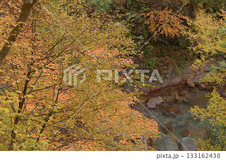 錦秋の行楽シーズン，秋山のトレッキング風景～清流沿いを歩きながら紅葉・黄葉の木々を鑑賞する 133162438