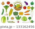 野菜　イラスト　アイコンセット　ベクター 133162456