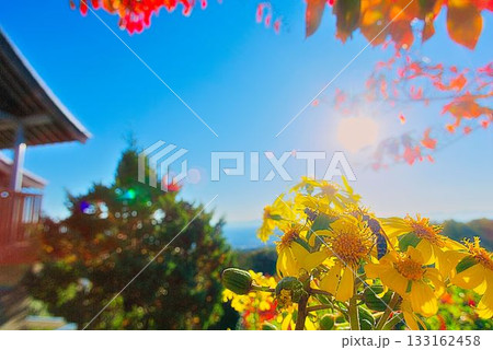 山寺の雰囲気 133162458