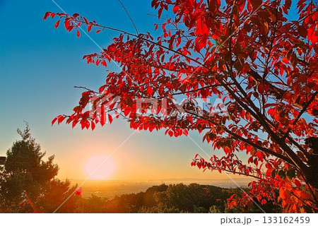 山寺の雰囲気 133162459