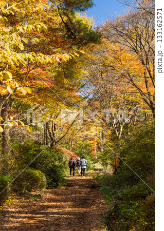 秋の赤城自然園　散策路の風景　群馬県 133162571