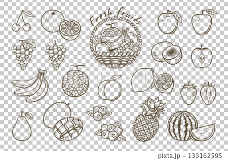 Fruit line drawing illustration icon set 133162595