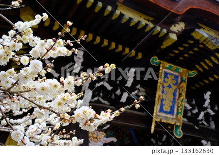 北野天満宮三光門と白梅 133162630