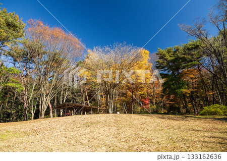 秋の赤城自然園　しばふ広場　群馬県 133162636