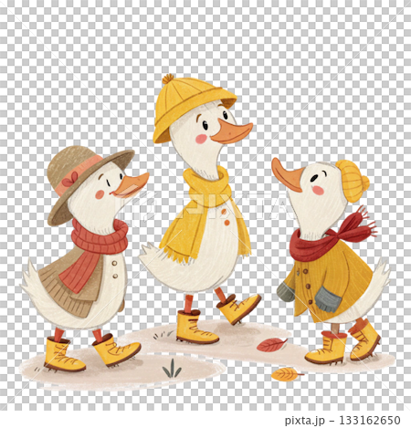 Three cute ducks in autumn outfits white background  133162650